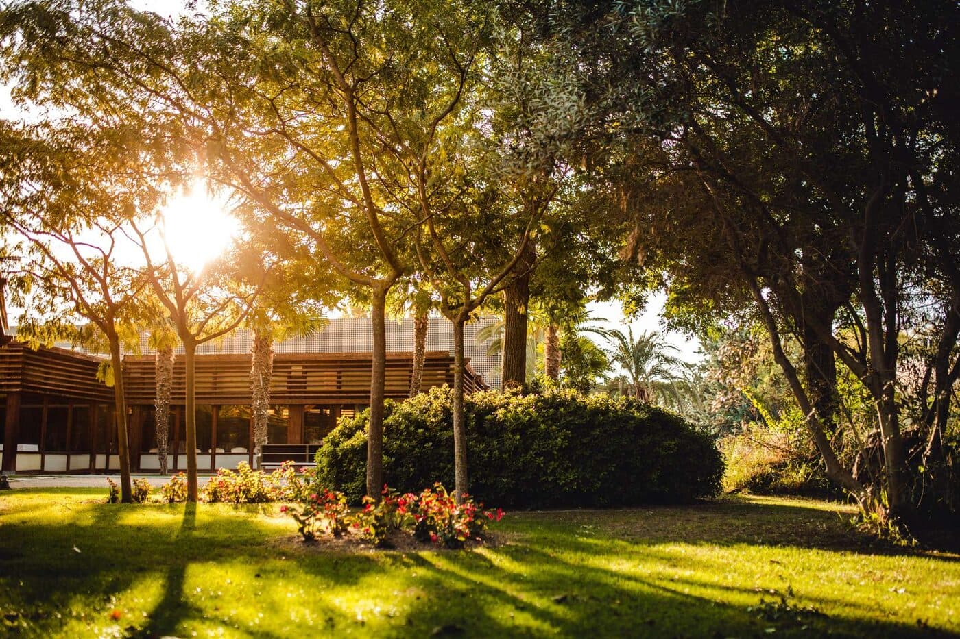 Finca Lago