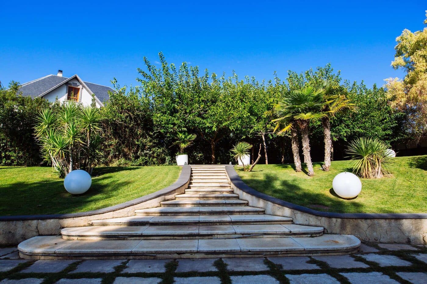 Finca Palmeras