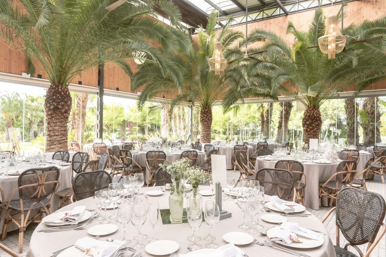 Banquete montado entre las palmeras de la Finca Sansui