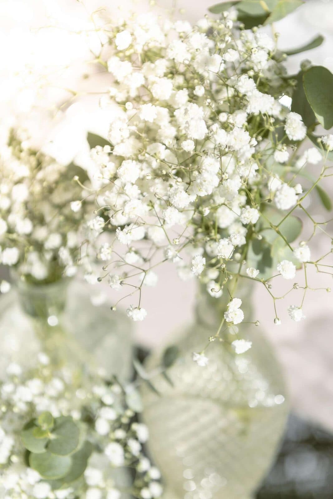 Ramo de paniculata blanca en un montaje de boda
